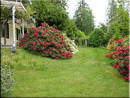 Singing Waters Cottage, Sunshine Coast vacation rental, BC, Kanada